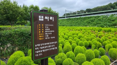 안산시 상록구, 한대앞역 푸른 댑싸리 쉼터 조성