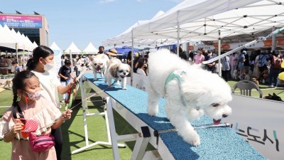 반려동물 사랑 앞서온 용인특례시…3년만의 축제에 시장도 ‘행복하개’