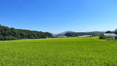 ‘용인 백옥쌀’ 명품밥맛의 비밀은, 민-관 품질관리 총력전