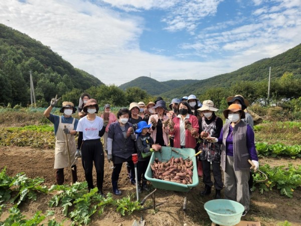 군포시민농부학교고구마기부.jpg