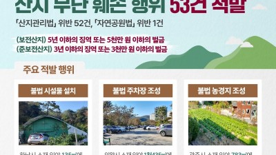 도 특사경, 축구장 3배 규모 산지 무단훼손 행위 53건 적발