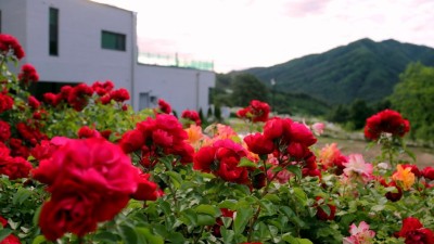 가평 엘리의정원, 경기도 민간정원 1호 등록