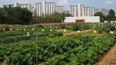 부천시, 도심 속 농업체험장 운영…참여자 모집