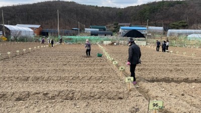 의왕시, 2023년 행복가꿈 주말농장 분양