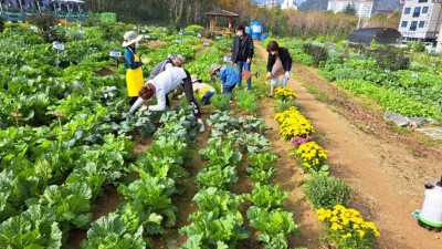 용인특례시, 시민농장 텃밭 분양에 2천여명 몰려 성황