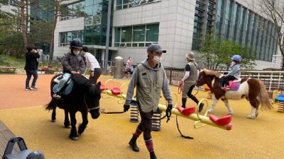 경기도 축산진흥센터, 올해 어린이 1,600명 대상 말 체험 추진. 전액 무료