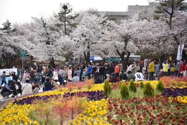 (참고사진)2019년+봄꽃축제(1).jpg