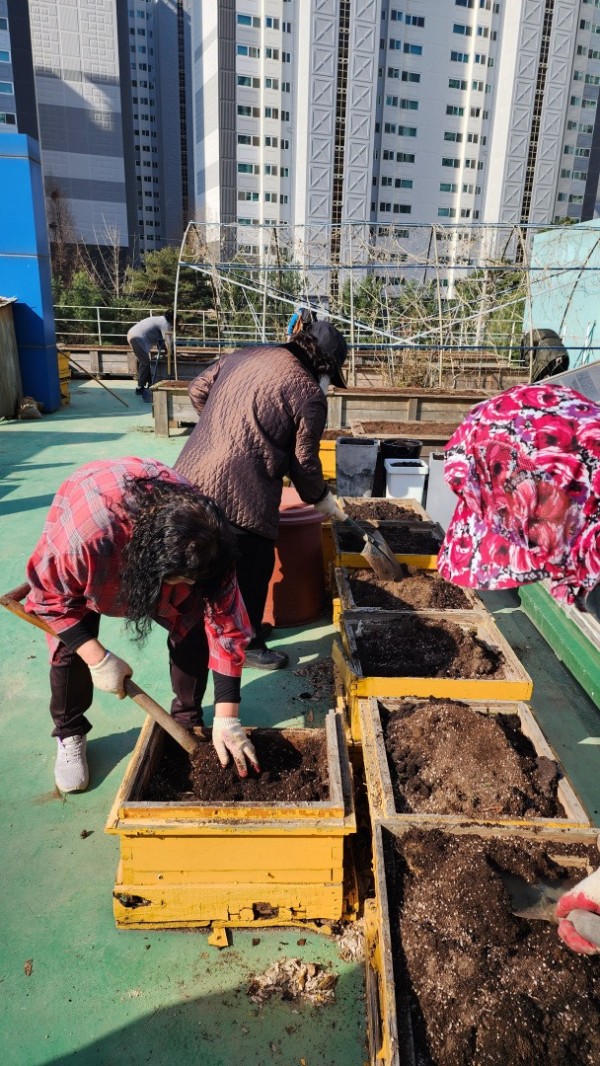 9. 동천동 주민자치위원들이 옥상에 텃밭을 가꾸고 있다.jpg