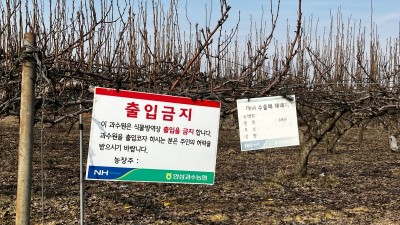 경기도 농기원, ‘화상병’ 예방… 농약 살포와 의심 신고 당부