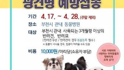 부천시 “반려견·반려묘 광견병 예방접종하세요”