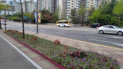 기흥구, 시민들 꽃길 걸어요... 도로·보행로 꽃단장