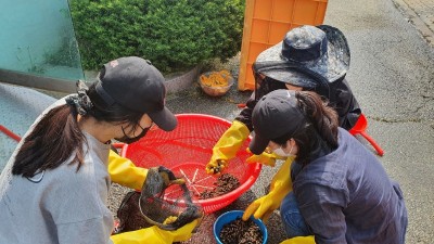 경기도, ‘실습형 내수면 양식 기초교육’ 3개 과정 교육생 모집