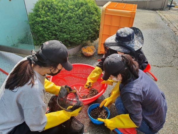 참고사진1(다슬기+교육，+교육생+실습).jpg