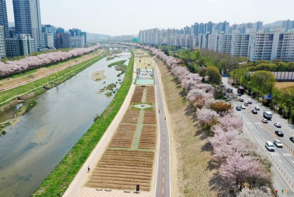 (광명1-2)24일 광명시에 따르면 산림청은 지방정원 예정지 신청에 대한 사전 현장실사와 평가를 거쳐 지난 21일 안양천 지방정원 조성예정지 지정을 승인했다.JPG