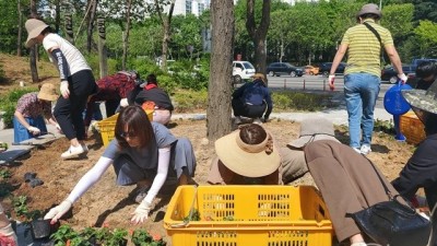 부천 상동, ‘우리동네 가드닝’ 꽃묘 식재 활동 실시