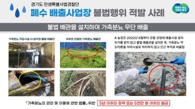 가축분뇨 370톤 무단 배출…경기도 특사경, 폐수 배출사업장 불법행위 적발