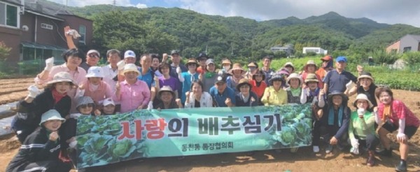 10. 동천동 통장협의회가 배추심기 행사를 열었다.jpg