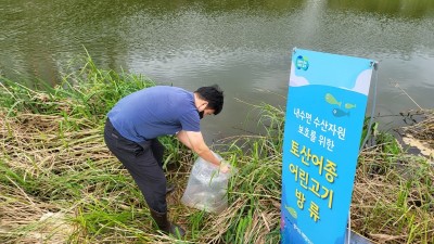 경기도, 모기 퇴치 위해 고양 등 8개 시군 하천에 미꾸리 6만 마리 방류