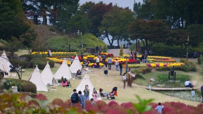 용인특례시, 다음 달 농촌테마파크에서 가을꽃 축제