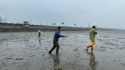 오이도 연안에 바지락 종패 200만 마리 살포, 어촌 활력 기대