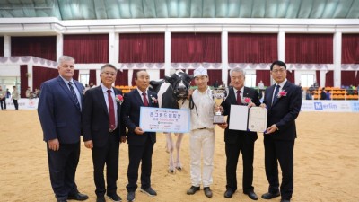 경기도, 제23회 2023한국홀스타인 품평회에서 젖소 준그랜드챔피언 국무총리상 등 최고의 성적 거둬