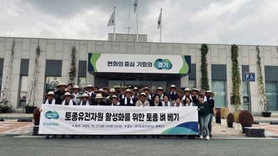 경기도, 토종유전자원 활성화를 위한 ‘토종 벼 베기’ 시연