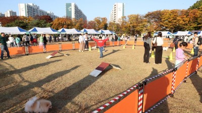 광명시 반려동물 문화축제, 3천여 시민과 반려견 참여 속 성료