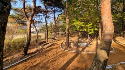 용인특례시, 수지구 근린공원 4곳에 맨발로 걷는 ‘어싱길’ 조성