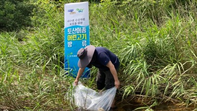 경기도가 생산하고 방류한 버들치, 가평군 하천에 잘 살고 있다!