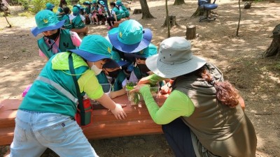 숲에서 느끼고, 배우고, 치유하기 시흥시 숲 프로그램 ‘기지개 활짝’