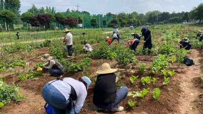 수원시 시민농장에서‘도시농부’ 체험한다