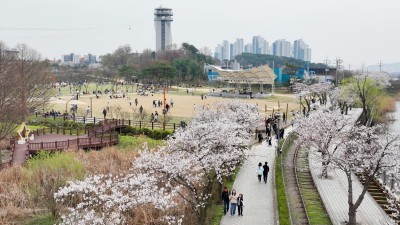 [포토뉴스]의왕시 왕송호수 ‘벚꽃 장관’