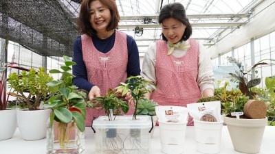 압축배양토를 활용한 화분심기로 도시농업 체험해봐요!