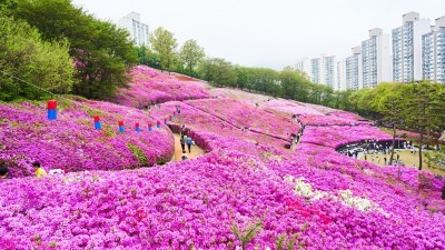 군포시, 산모에게 국내산 우수 축산물 꾸러미 지원