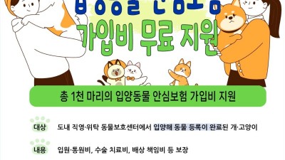 경기도, 유기동물 입양자에게 반려동물 보험가입 무료 지원