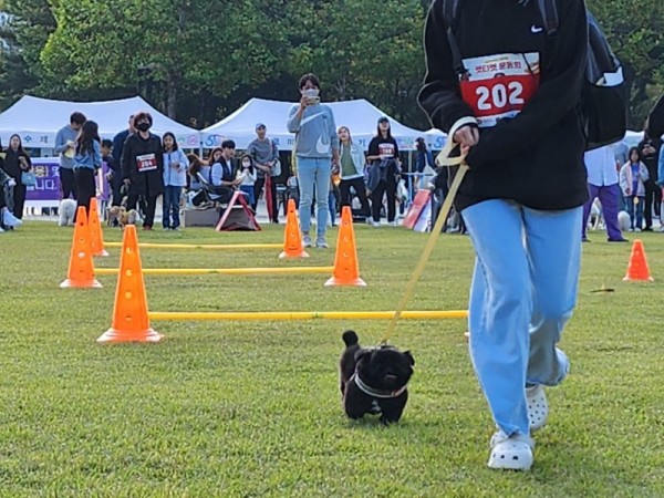 2023년 안양시 반려동물 축제 현장(1).jpg