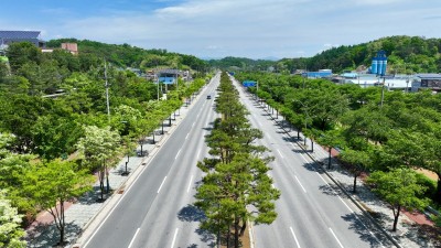 우리나라 ‘명품 가로수길’을 소개합니다