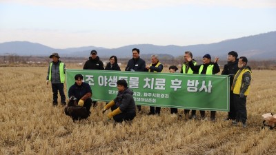 경기도북부야생동물구조관리센터, 올해 5월 구조된 천연기념물 독수리...치료와 재활 후 독수리 식당 개장과 함께 자연 복귀를 위한 첫걸음 시작