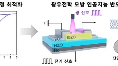 경기도가 지원한 성균관대 연구팀, 빛과 전기신호를 이용한 차세대 AI 반도체 기술 개발 성공