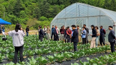 경기도농업기술원, 친환경 ‘뿌리혹병 방제 펠렛’ 개발… 탄소 저장 효과도