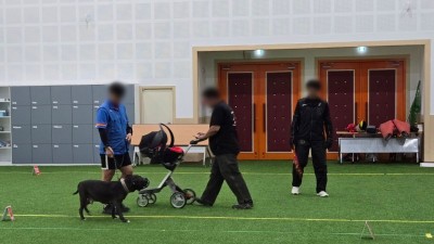 경기도, 도내 사육 맹견 대상 올해 첫 ‘맹견 기질평가’ 시행