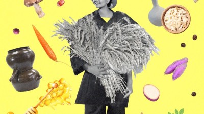 경기도농업기술원 개발 전통주 40종 한자리에… 전통주 특별전 개최