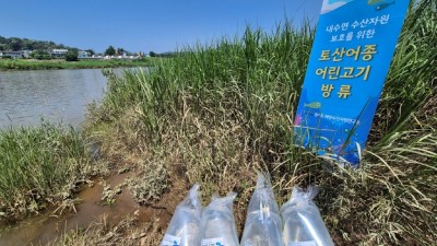경기도, 쏘가리 어린 물고기 1만 마리 방류… 내수면 생태계 복원 추진